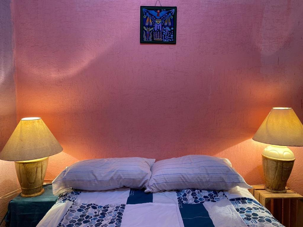 Hostal Del Centro En Slp 圣路易斯波托西 外观 照片