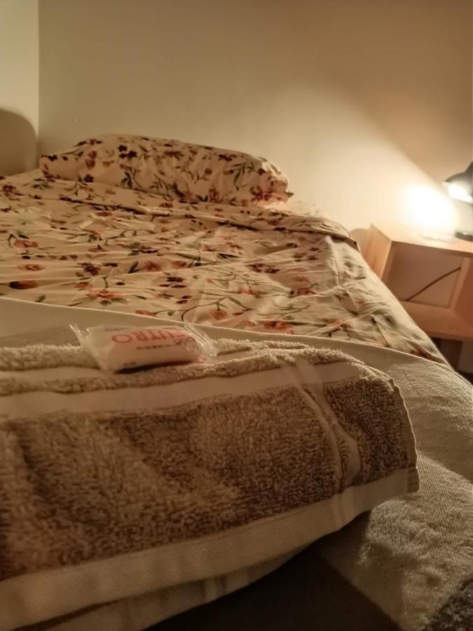 Hostal Del Centro En Slp 圣路易斯波托西 外观 照片